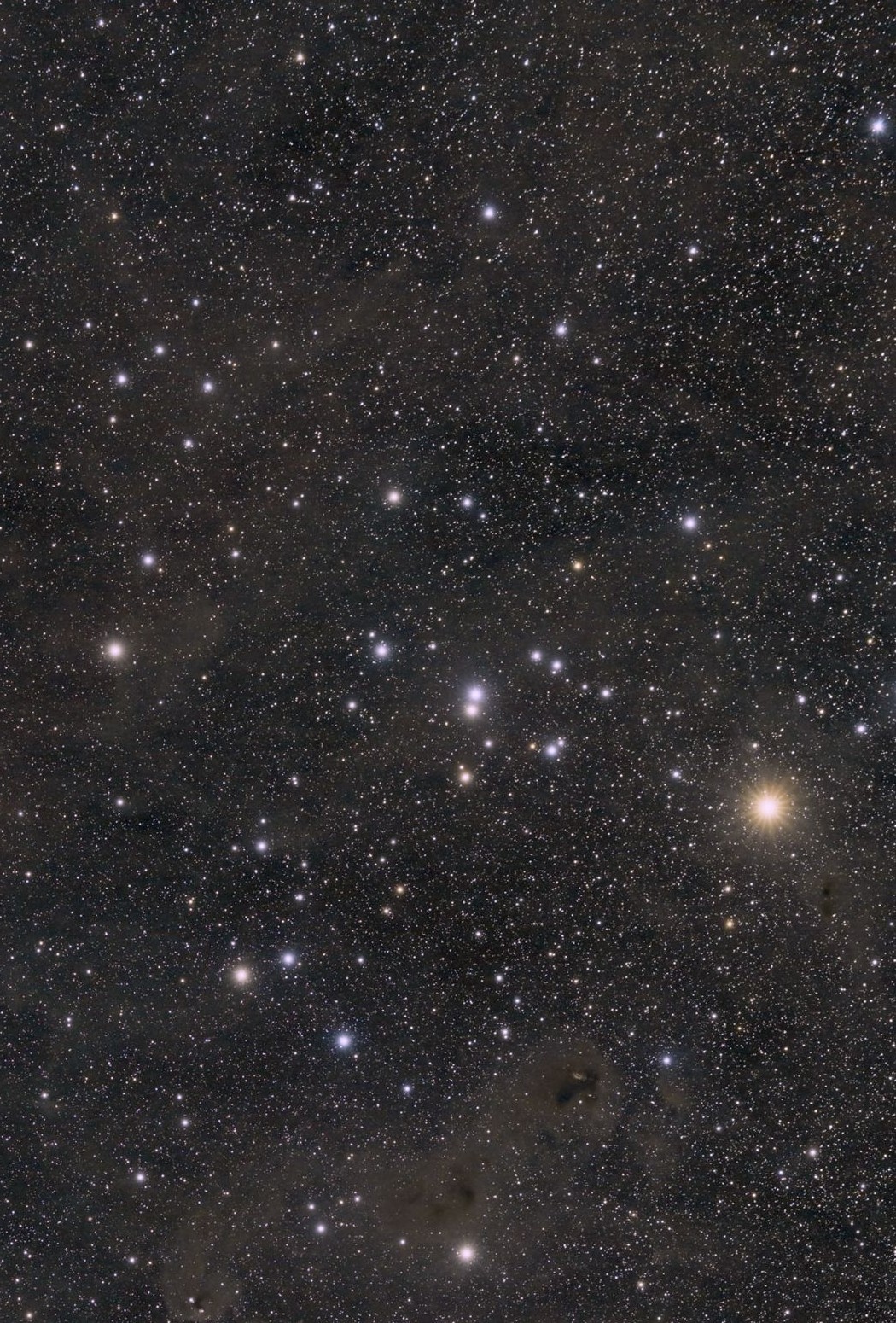 HYADES