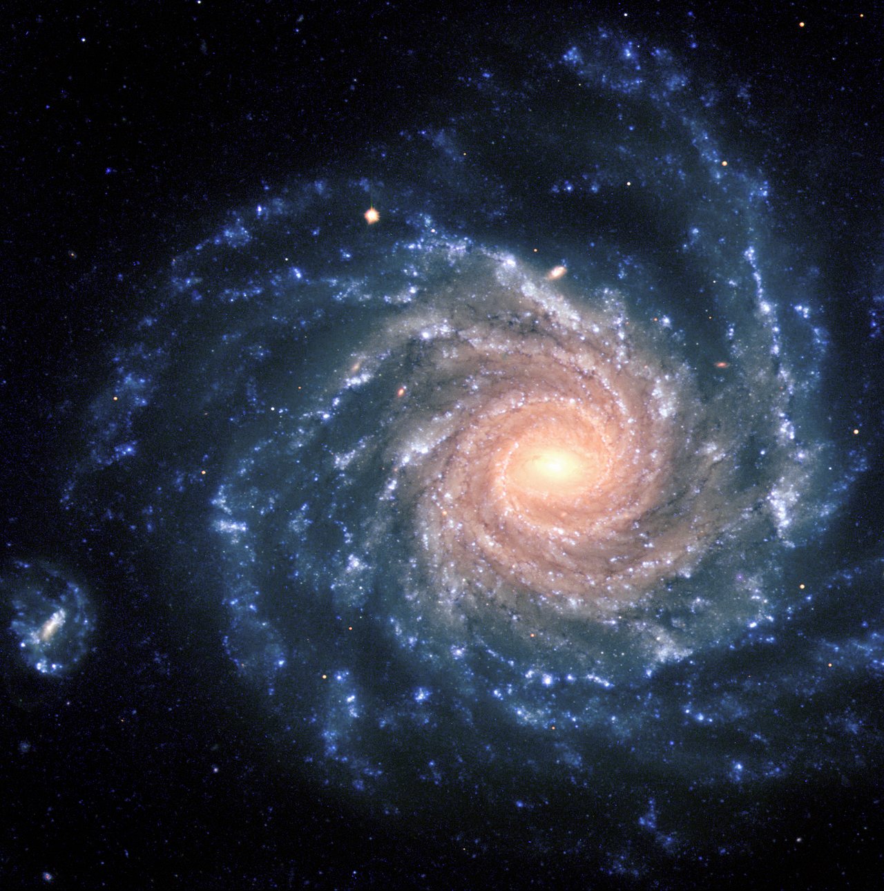 NGC 1232