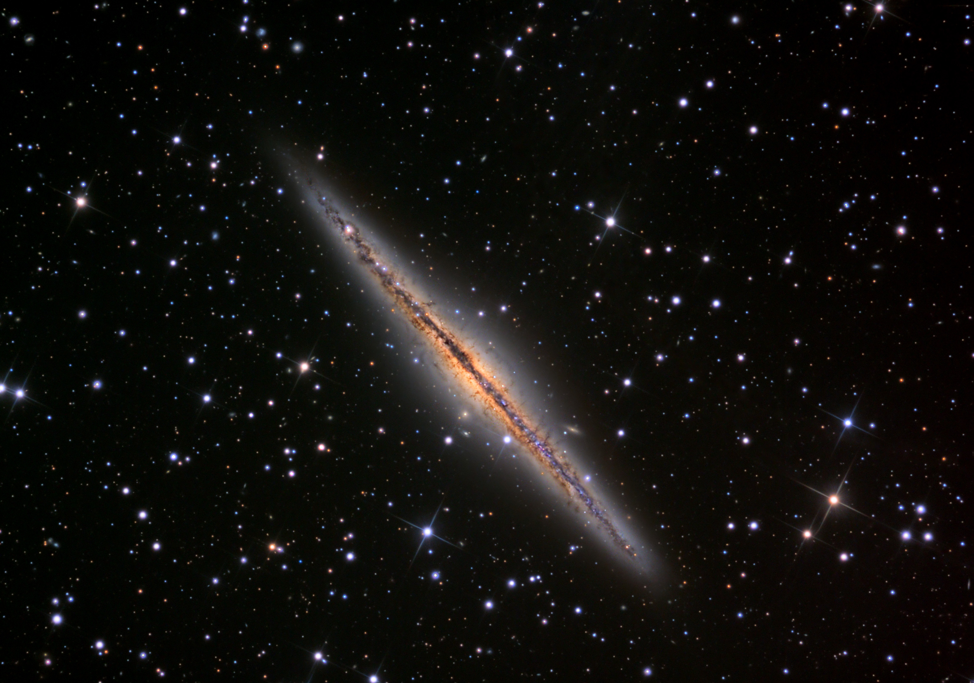 N891
