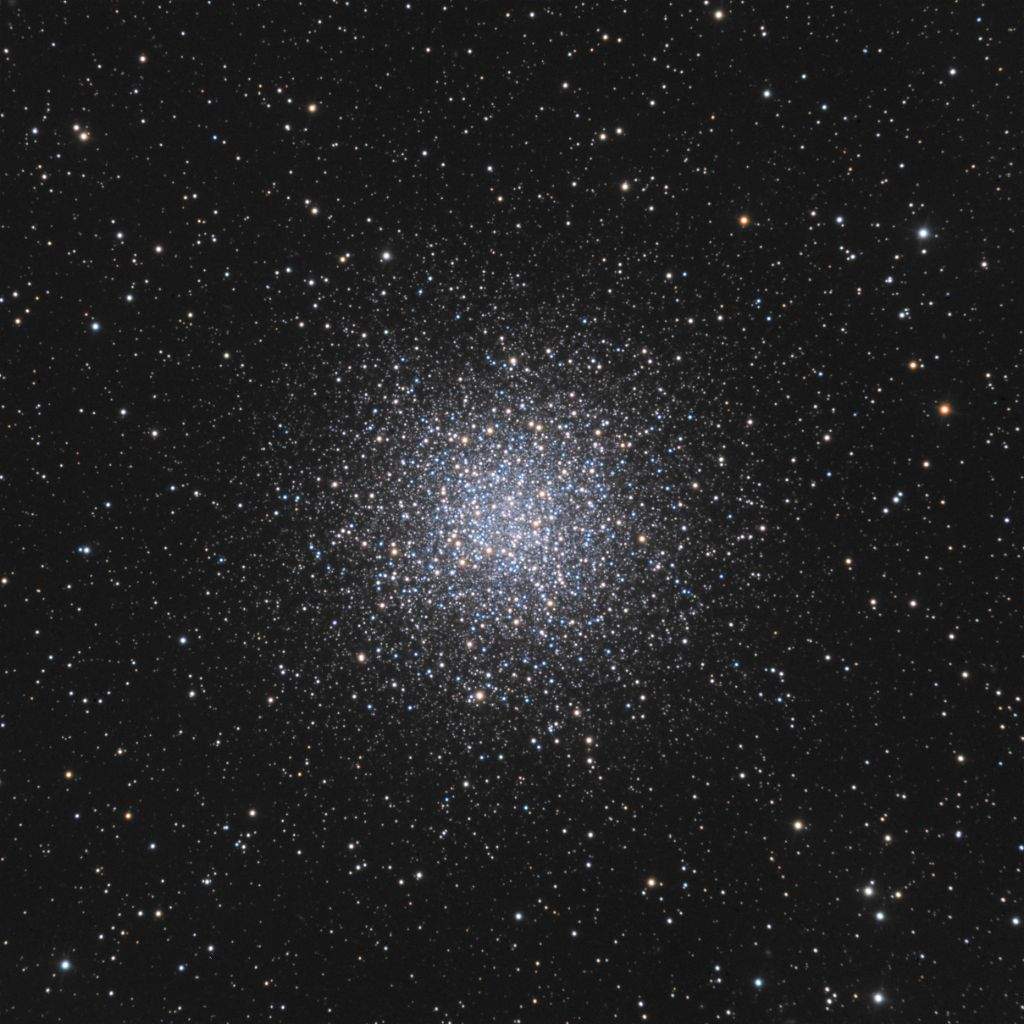 m55