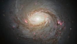 M 77 (NGC 1068), NGC 1055, NGC 1073 (Grupo galáctico de M 77), y NGC 1087