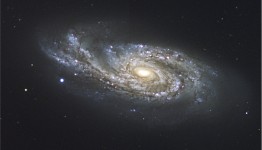 NGC 908