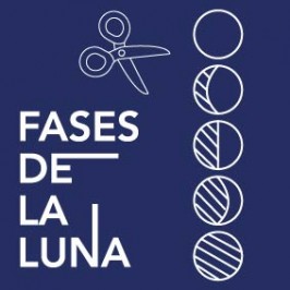 Fases de la luna